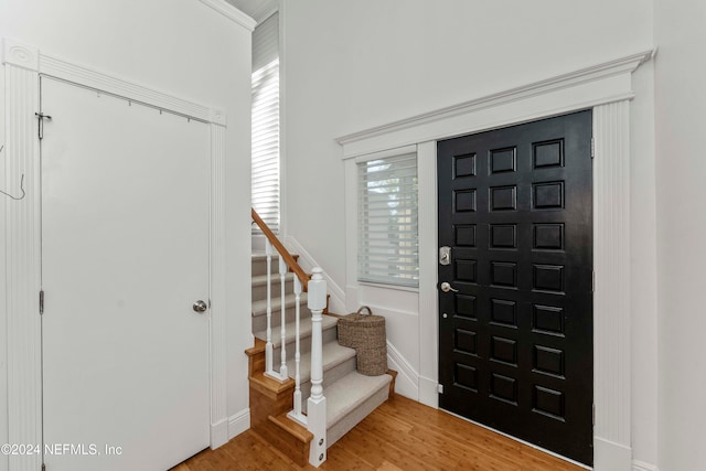 foyer entrance featuring wood-type flooring