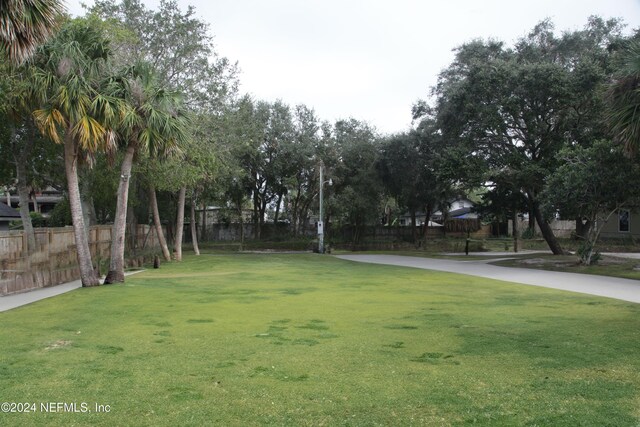 1453 Henry St, Jacksonville, FL 32233 - photo 3
