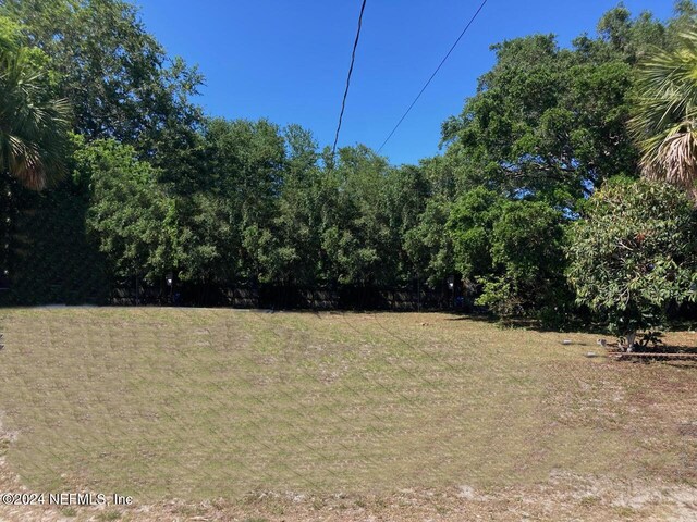 1453 Henry St, Jacksonville, FL 32233 - photo 4