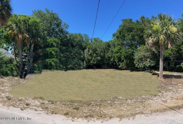 1453 Henry St, Jacksonville, FL 32233 - photo 10