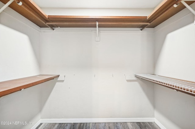 spacious closet featuring wood-type flooring