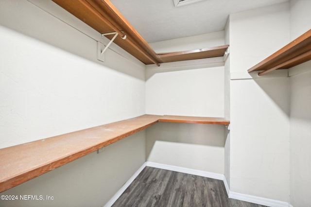 walk in closet featuring dark hardwood / wood-style flooring