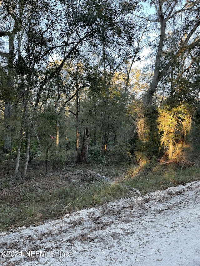 LOT14/15 292nd St, Branford, FL 32008 - photo 1