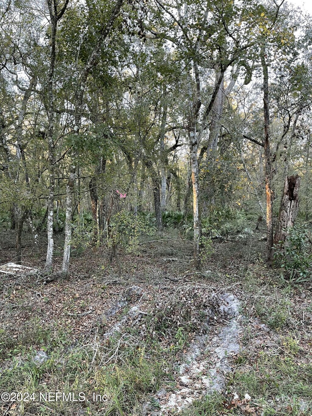LOT14/15 292nd St, Branford, FL 32008 - photo 2