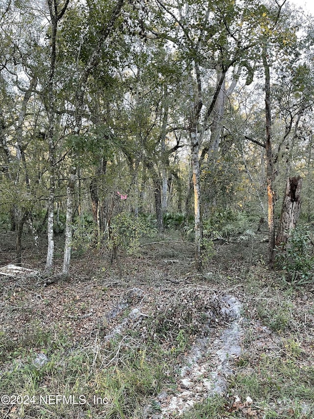 LOT14/15 292nd St, Branford, FL 32008 - photo 2