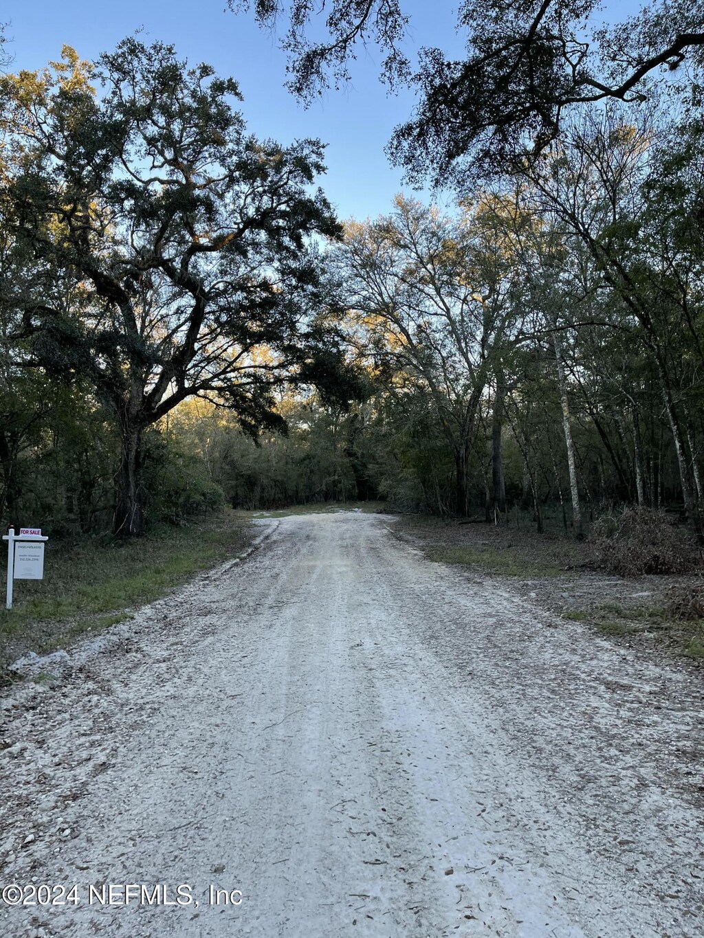 LOT14/15 292nd St, Branford, FL 32008 - photo 3