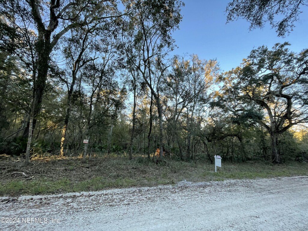 LOT14/15 292nd St, Branford, FL 32008 - photo 4