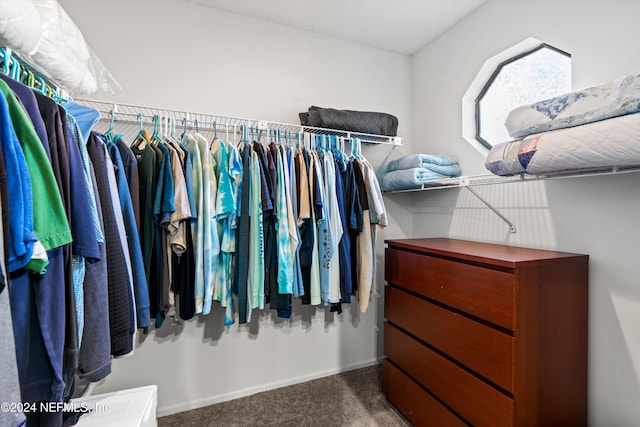 walk in closet with dark colored carpet