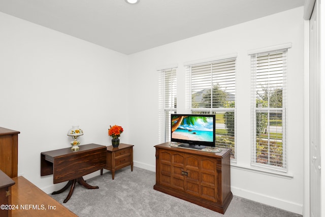 living area featuring light colored carpet