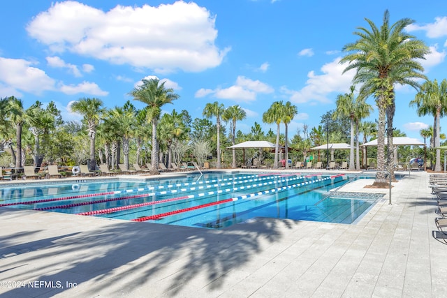 view of swimming pool featuring a patio area