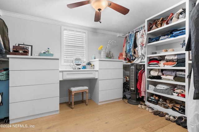 spacious closet featuring light wood-type flooring and ceiling fan