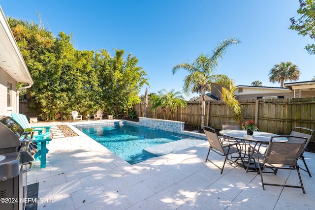 view of pool with a patio and grilling area