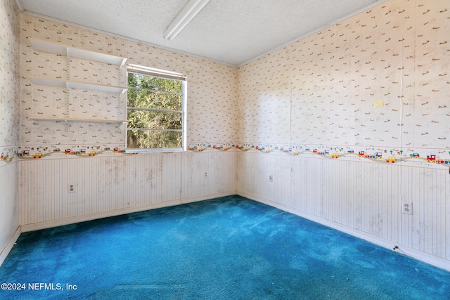 carpeted spare room with a textured ceiling