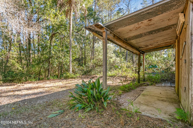 view of yard featuring a patio area