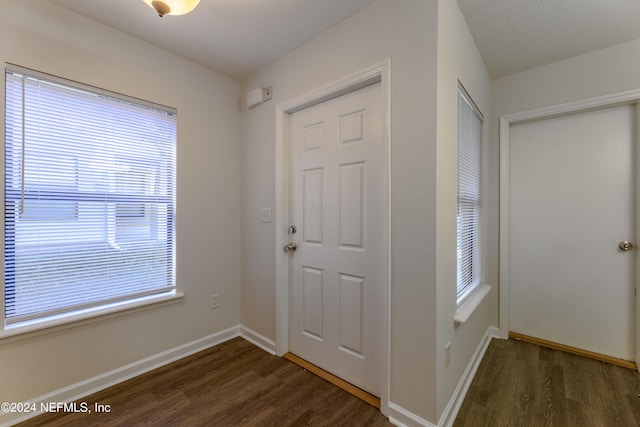 entryway with dark hardwood / wood-style floors, a textured ceiling, and a wealth of natural light