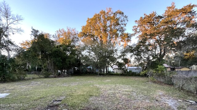 2414 Crill Ave, Palatka, FL 32177 - view of yard