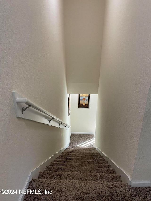 stairs with carpet floors