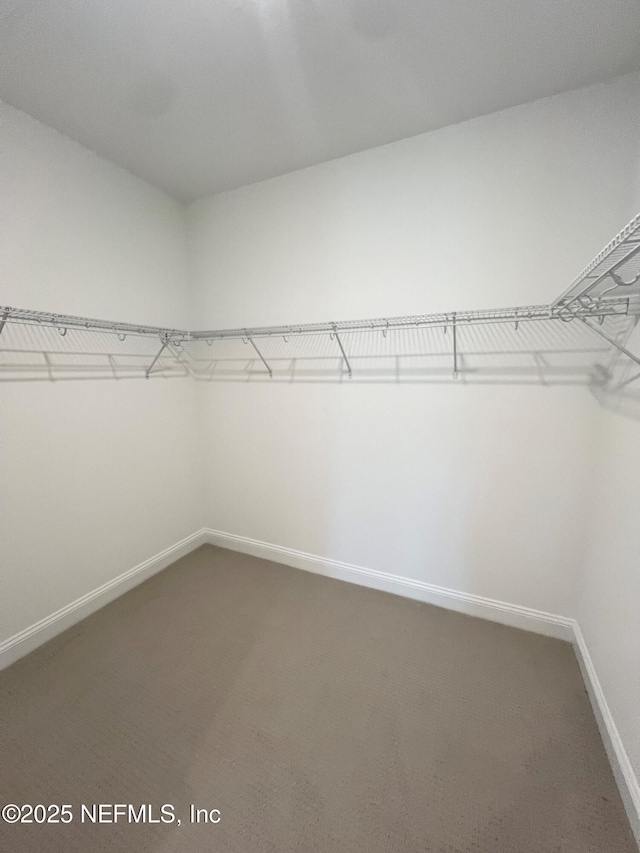 88 Latham Dr, Ponte Vedra, FL 32081 - walk in closet with carpet
