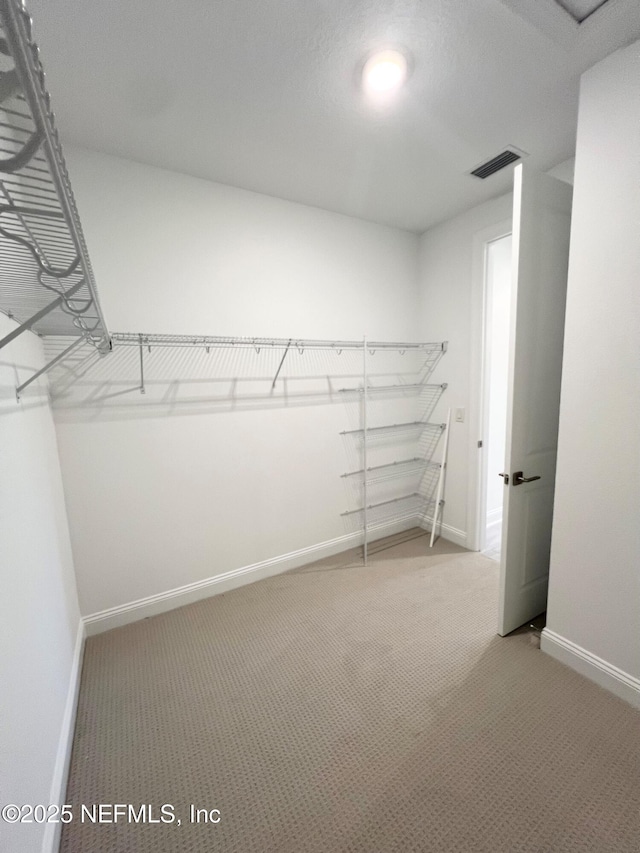 88 Latham Dr, Ponte Vedra, FL 32081 - spacious closet with carpet
