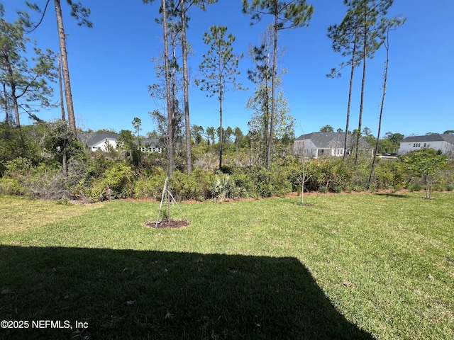 88 Latham Dr, Ponte Vedra, FL 32081 - view of green lawn