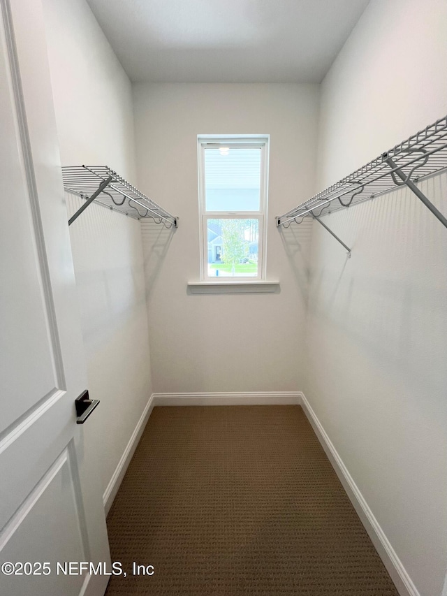 88 Latham Dr, Ponte Vedra, FL 32081 - walk in closet with carpet flooring