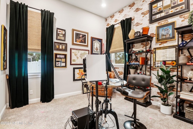 exercise room featuring a wealth of natural light and light carpet