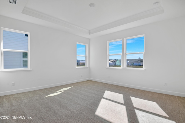 carpeted spare room featuring a raised ceiling and ornamental molding