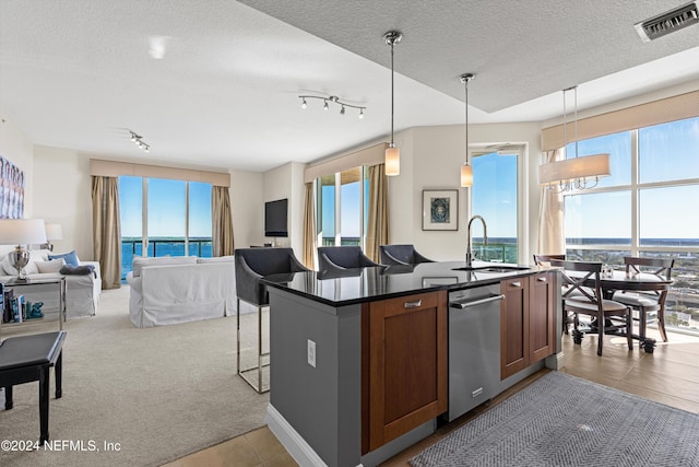 kitchen featuring pendant lighting, a center island with sink, a healthy amount of sunlight, and sink