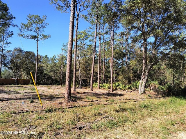 111 Osborne St, Interlachen, FL 32148