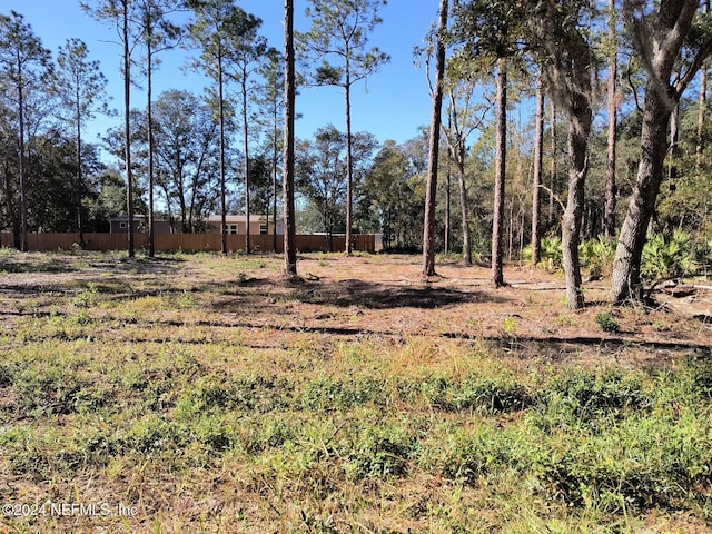115 Osborne St, Interlachen, FL 32148