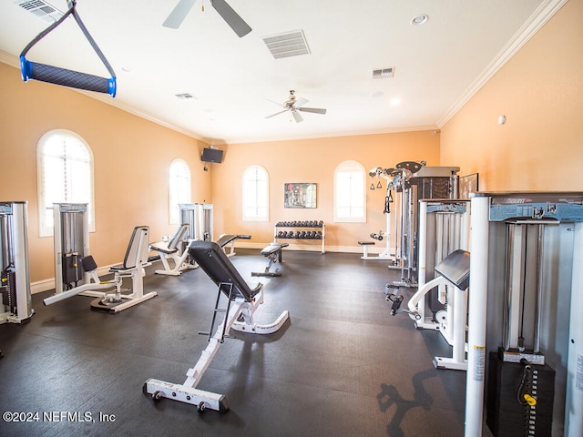 exercise room with ceiling fan and crown molding