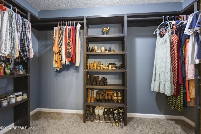 spacious closet featuring carpet floors