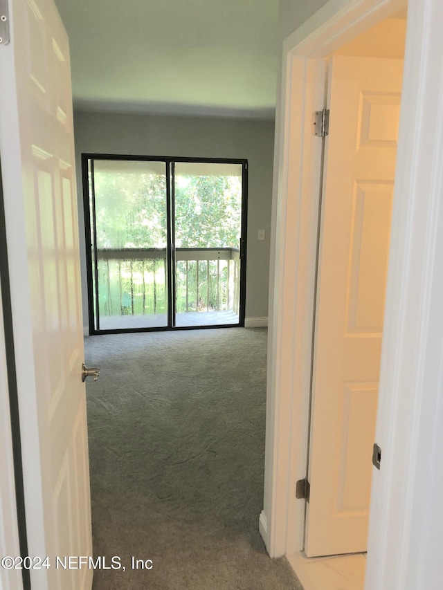 hallway with carpet floors