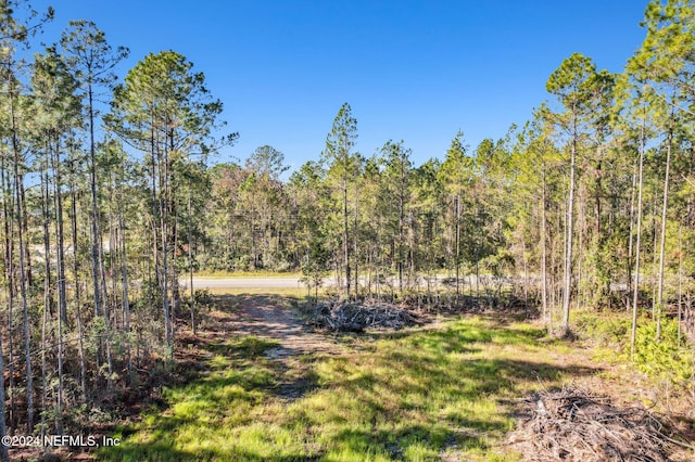 Listing photo 2 for 75726 Edwards Rd, Yulee FL 32097