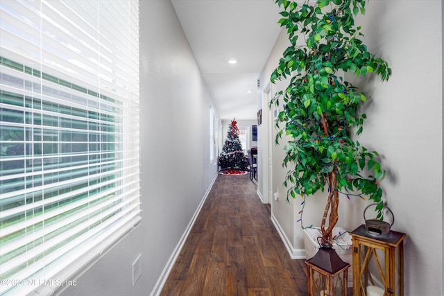 hall featuring dark hardwood / wood-style flooring and lofted ceiling