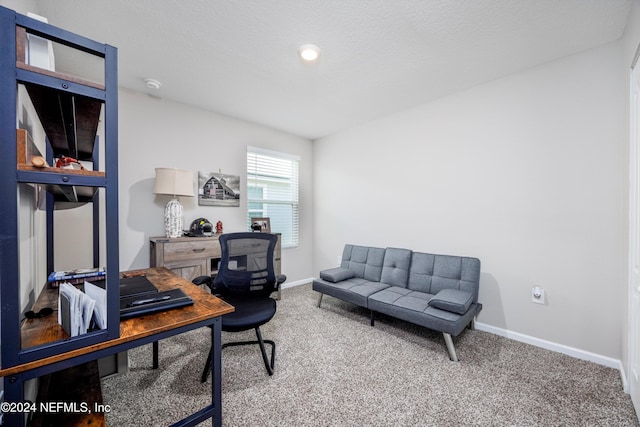 office with carpet flooring and a textured ceiling