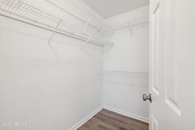 walk in closet with dark hardwood / wood-style floors