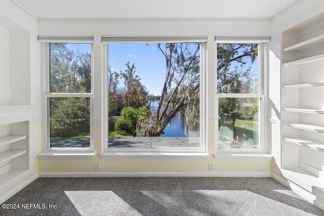 room details with carpet floors and a water view