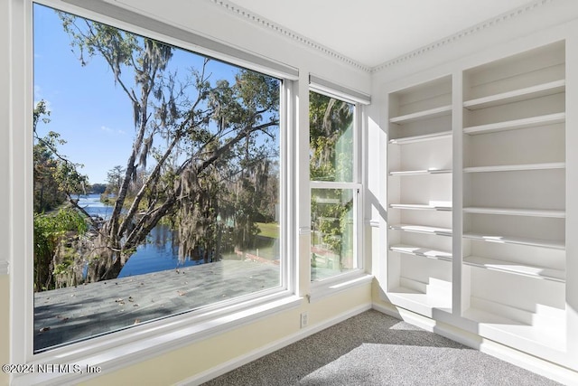 interior details with carpet floors and a water view