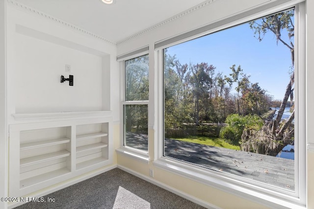 interior details with carpet floors