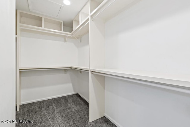 walk in closet featuring dark colored carpet