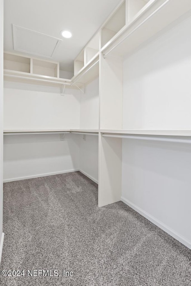 spacious closet with carpet floors