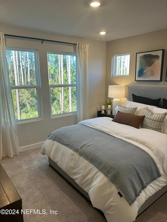 bedroom with carpet floors and multiple windows