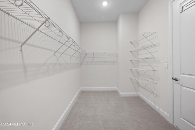 walk in closet with carpet flooring