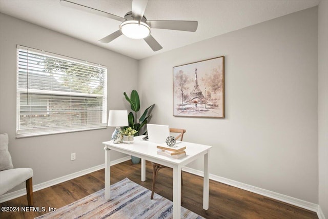 office featuring hardwood / wood-style floors and ceiling fan