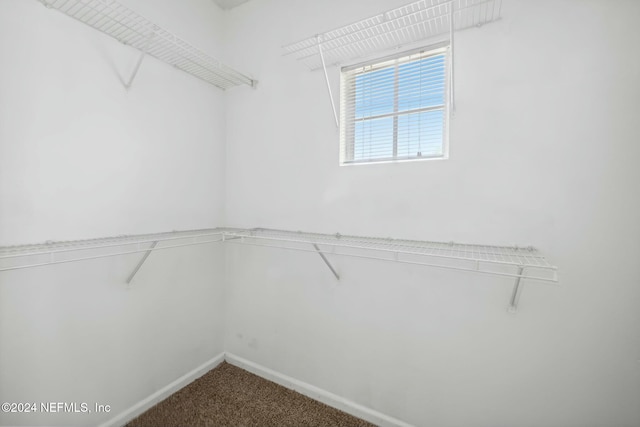 spacious closet with carpet