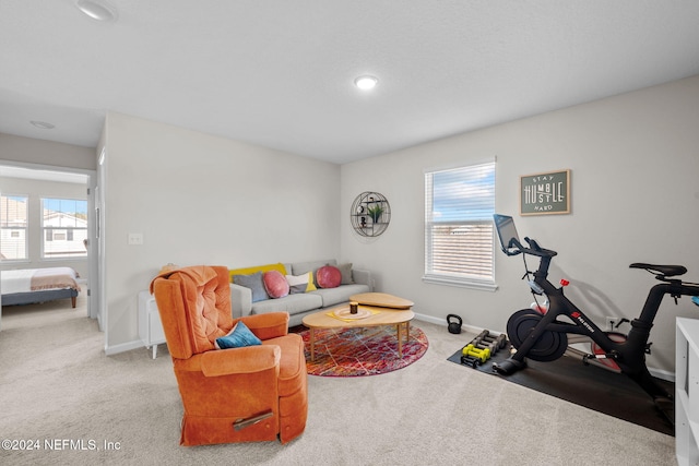 carpeted living room with plenty of natural light