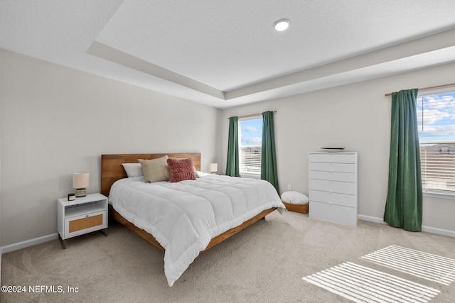 bedroom featuring a raised ceiling and light colored carpet