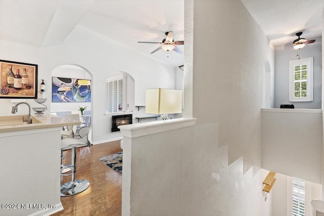 interior space with hardwood / wood-style floors, ceiling fan, and sink