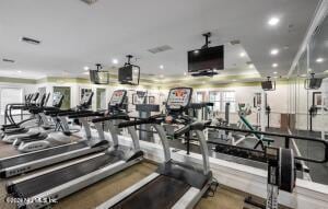 exercise room featuring plenty of natural light